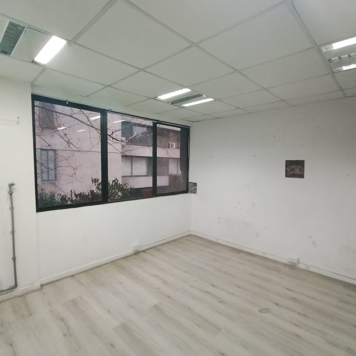 Espacio 15 — Francisco Noguera 201